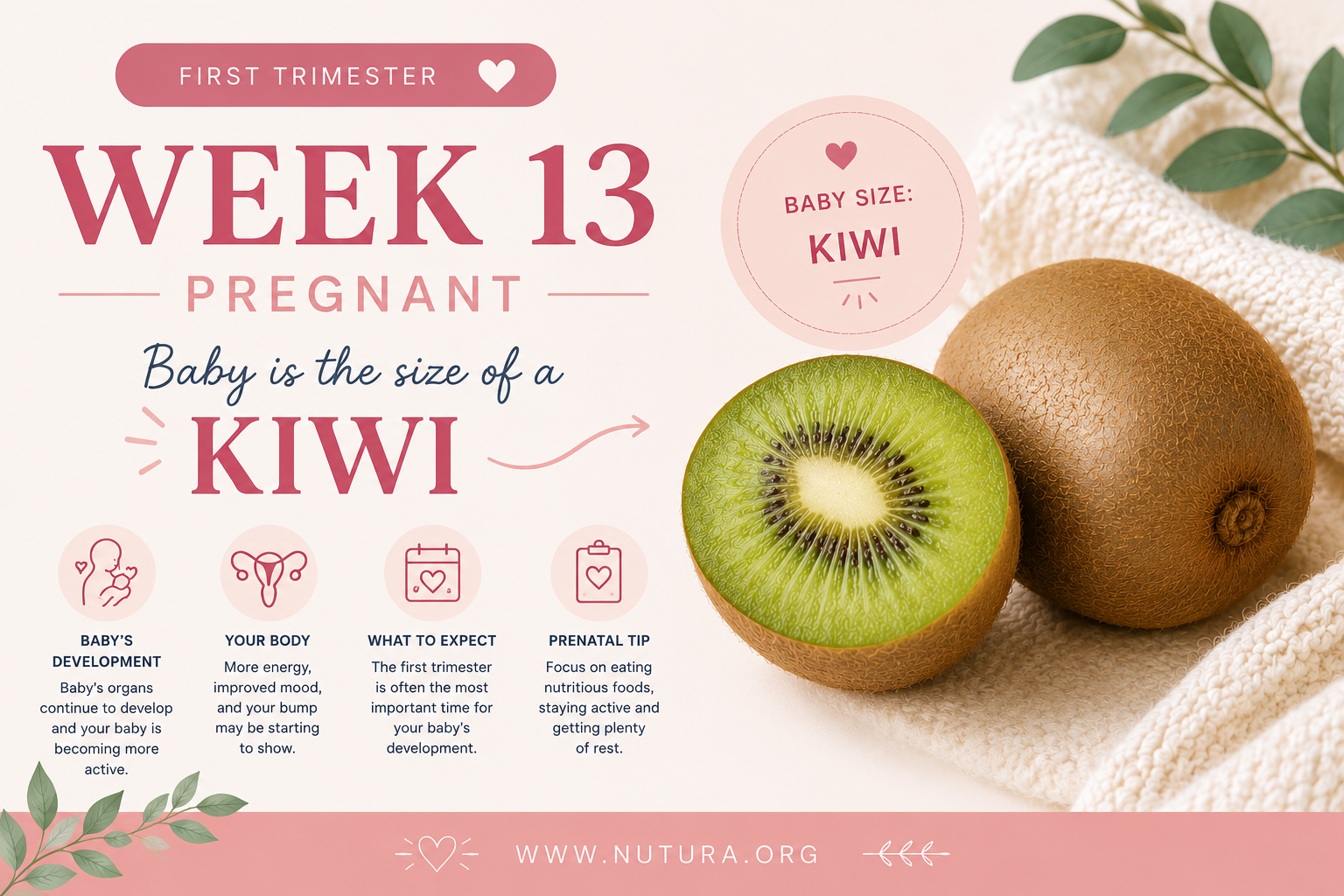 13 Weeks Pregnant: The End of the First Trimester