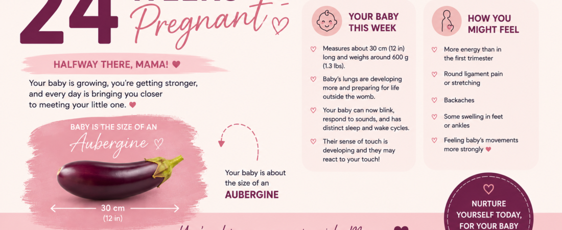 24 Weeks Pregnant: Your Baby, Viability, and the Halfway Feeling