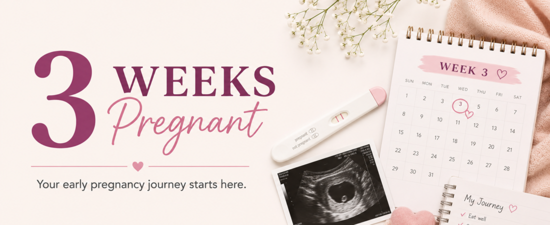 3 Weeks Pregnant: Fertilisation, Implantation, and the Wait