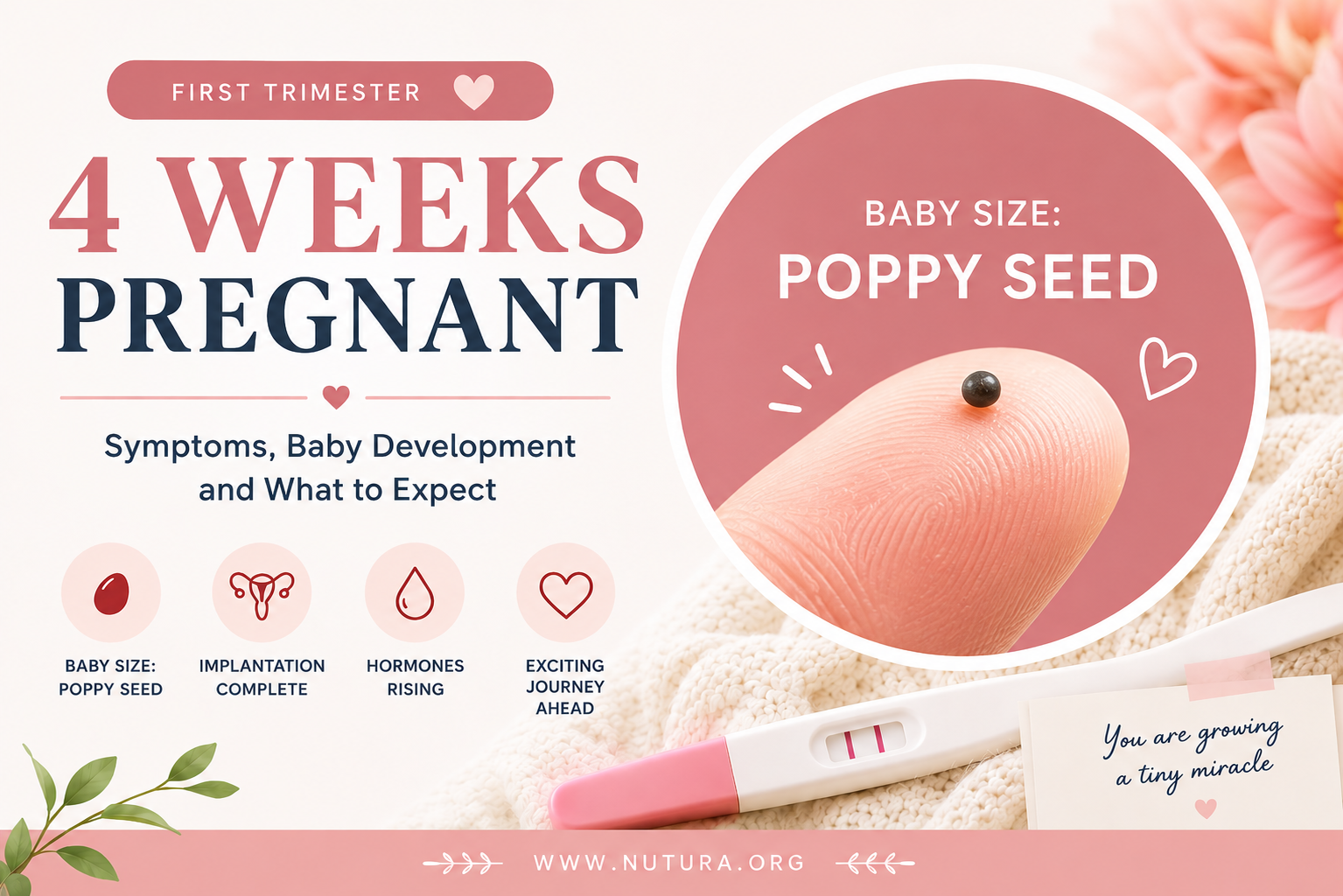 4 Weeks Pregnant: What Is Happening and What to Do Next