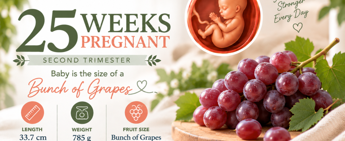 25 Weeks Pregnant: Strong Kicks, the GD Test, and the Third Trimester