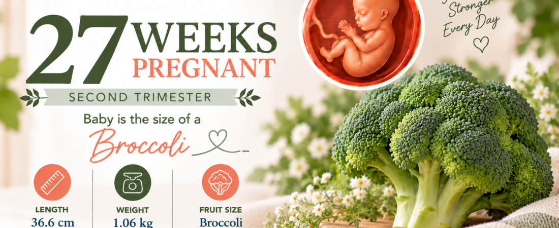27 Weeks Pregnant: The Last Weeks of the Second Trimester | Nutura Mauritius