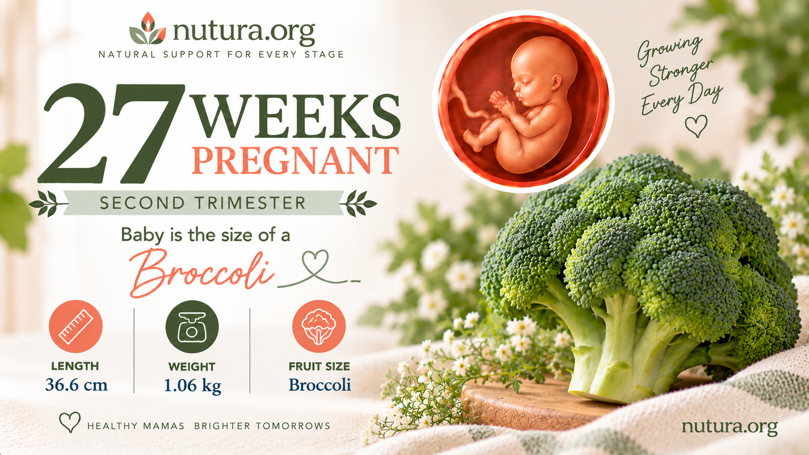 27 Weeks Pregnant: The Last Weeks of the Second Trimester | Nutura Mauritius