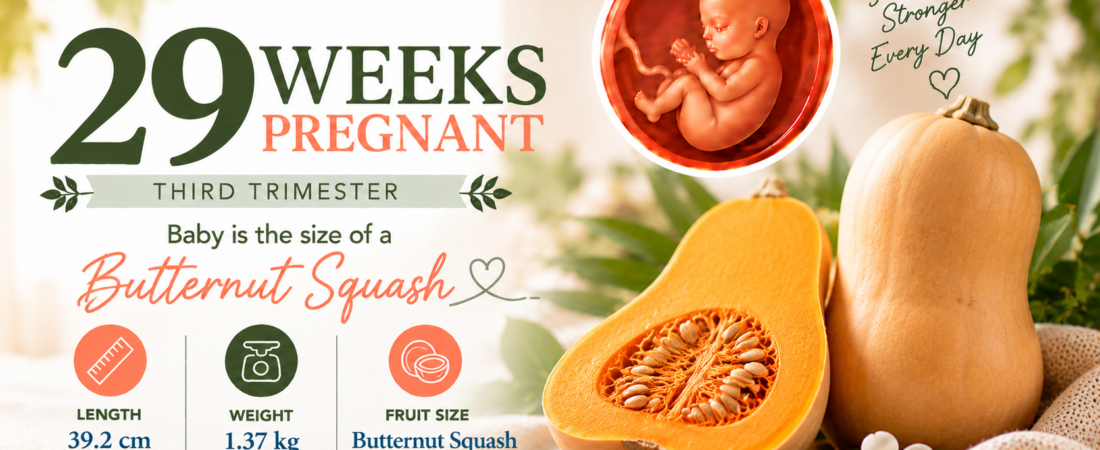 29 Weeks Pregnant: Welcome to the Third Trimester | Nutura Mauritius